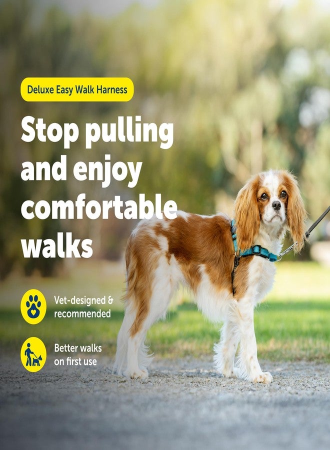 بيت سيف حزام صدر PetSafe Deluxe Easy Walk - حزام صدر للكلاب موثوق به من قبل المدربين، بتصميم حلقة مارتينجال قابلة للتهوية - يساعد على منع الشد دون الاختناق أو التقيؤ - صغير - أزرق محيطي - Image 3